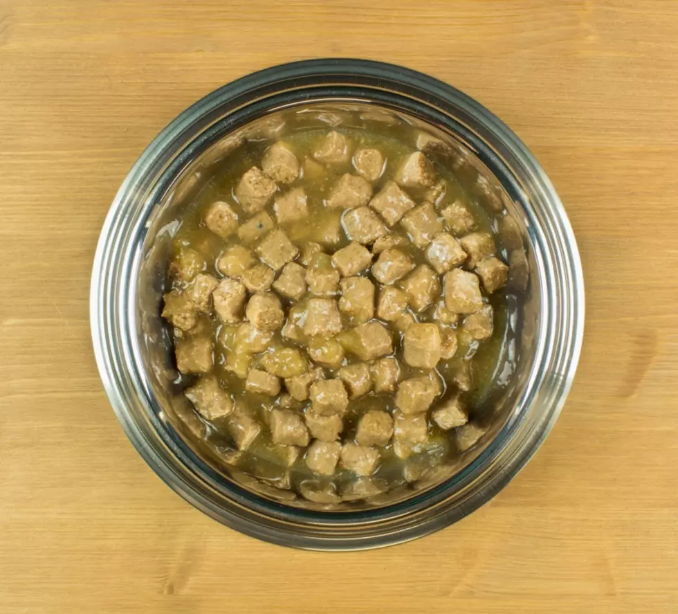 The FDA Has An Updated List For Potentially Dangerous Dog Food