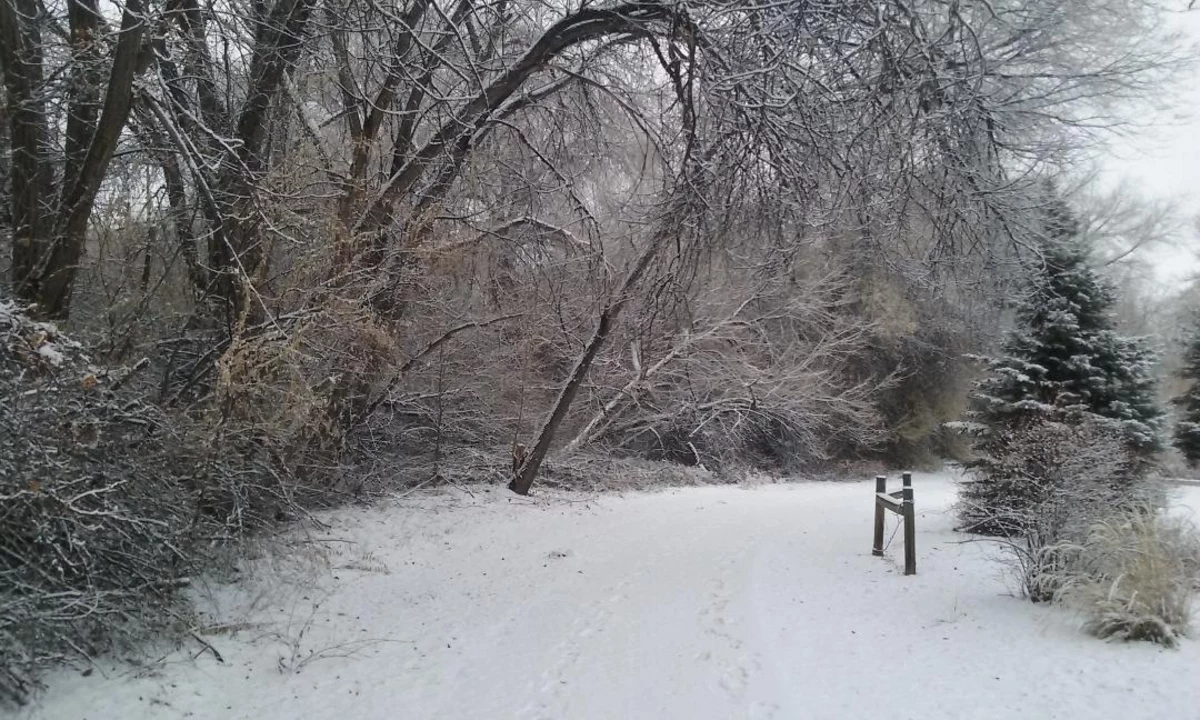 Here's What You Missed on Christmas Eve in Grand Junction