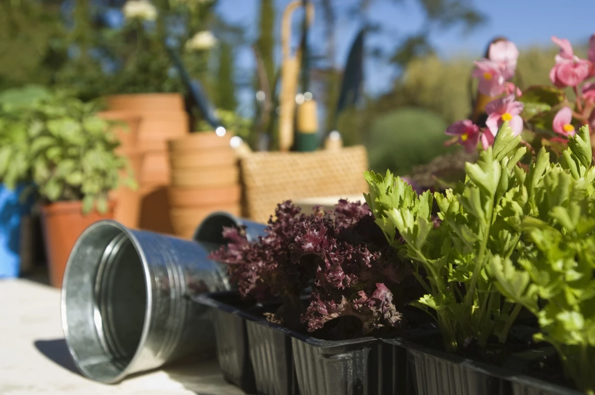 Time To Start Planning Your Garden, Grand Junction