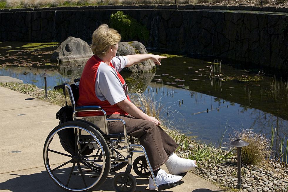 Five Of Colorado's Best Wheelchair Accessible Attractions
