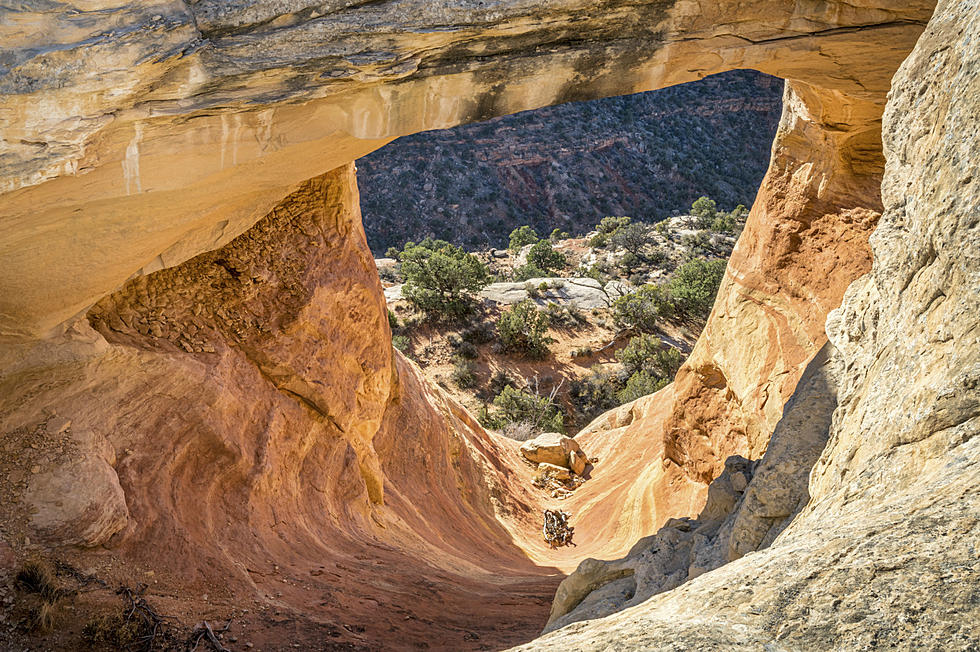 Spring Hikes: Western Colorado's Rattlesnake Arches