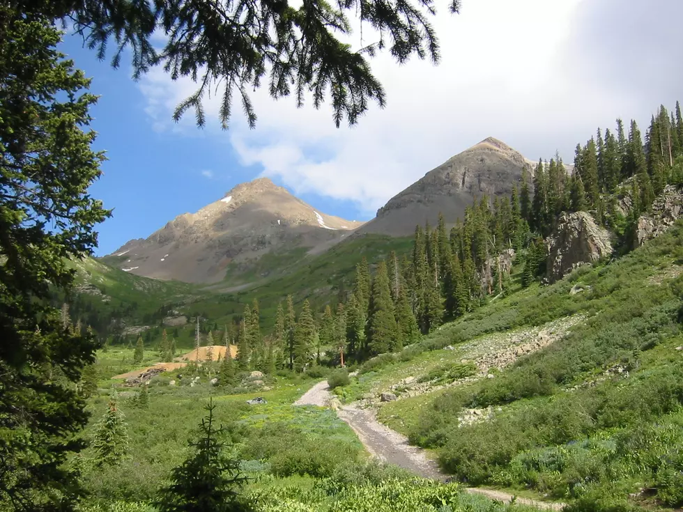 Colorado Spring Hikes: Yankee Boy Basin
