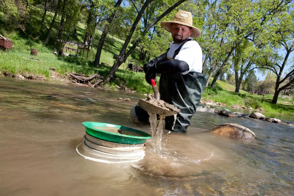 Three Places You Can Go Gold Prospecting in Colorado