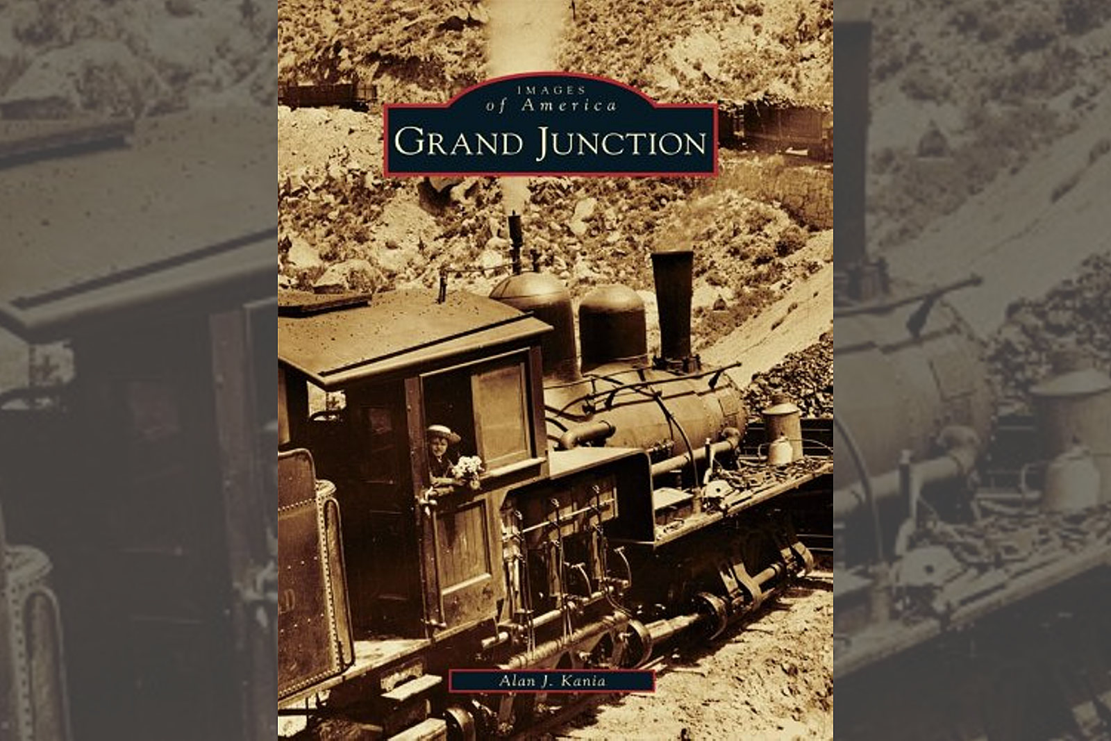 9 Must-Have Books Every Grand Junction Home Needs