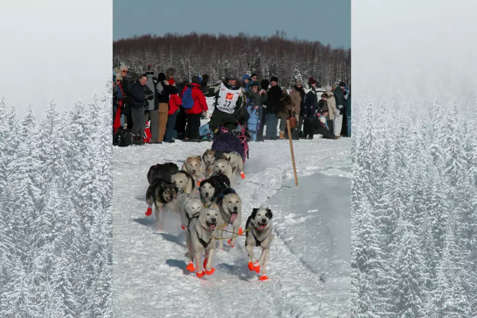 Iditarod Sled Dog Race Competitor Coming to Grand Junction