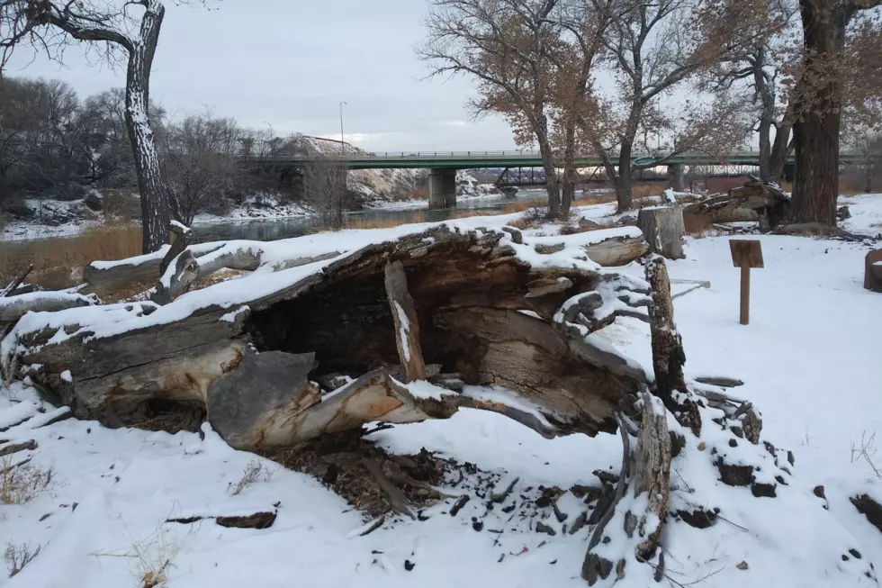 Take a Winter Walk at Grand Junction&#8217;s Watson Island