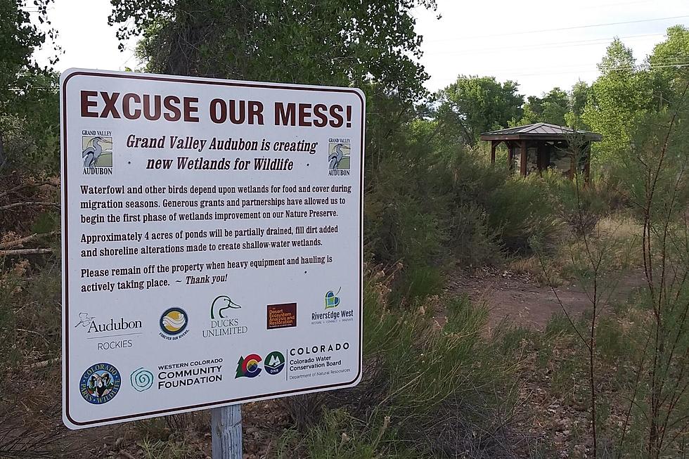 What’s Happening on Grand Junction’s Audubon Trail?