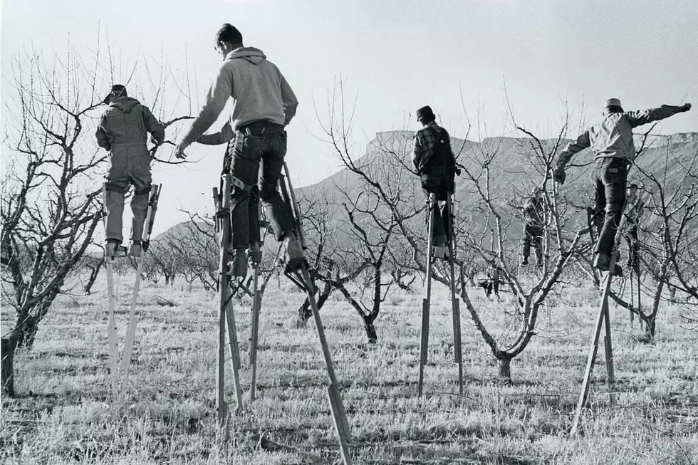 Relive the Grand Valley&#8217;s Past Farmers + Growers Through Photos