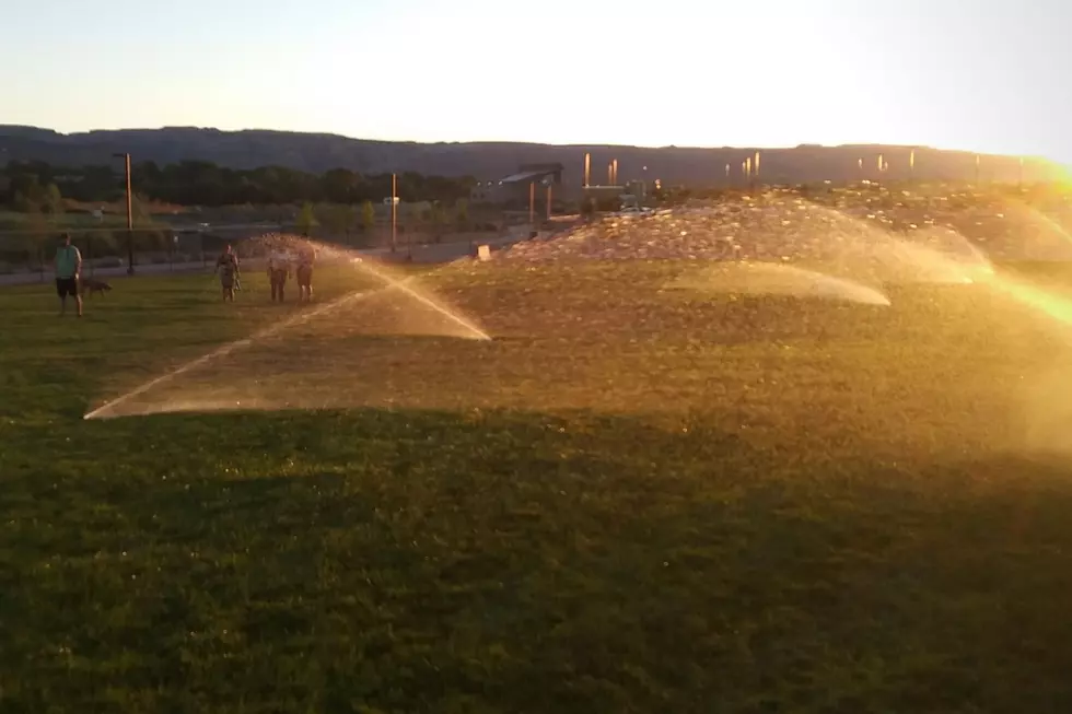 Las Colonias Dog Park sprinklers on 2