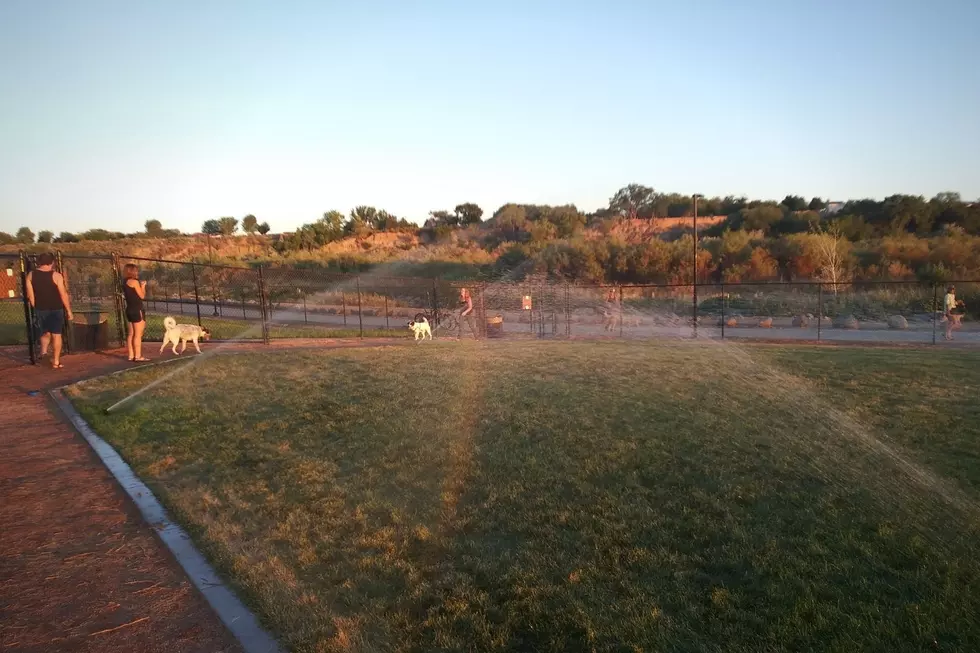Las Colonias Dog Park sprinklers on 3