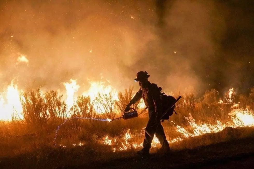 In Days, Pine Gulch Fire Will Be Largest in Colorado History