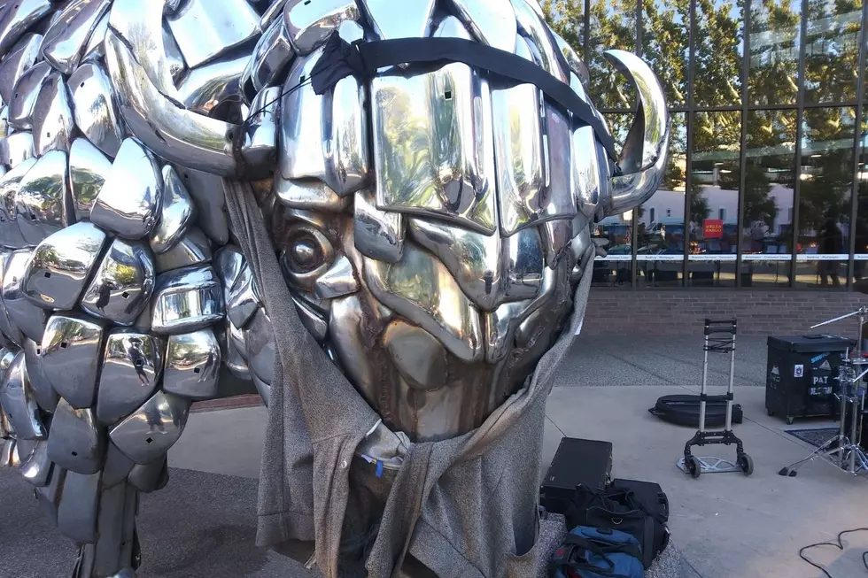 Chrome on the Range Mask 2