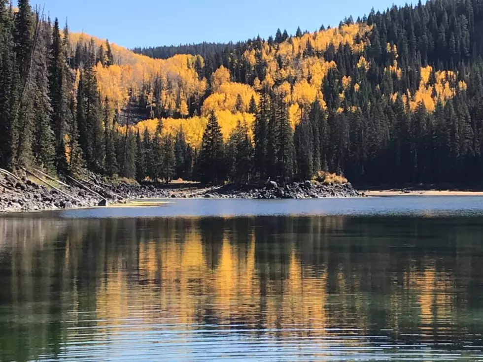 Fall Photos Showing Off the Beauty of Western Colorado