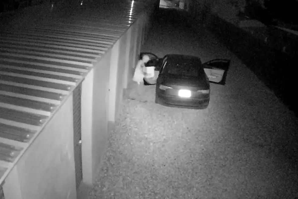 Mesa County Authorities Need Your Help to Identify Suspects