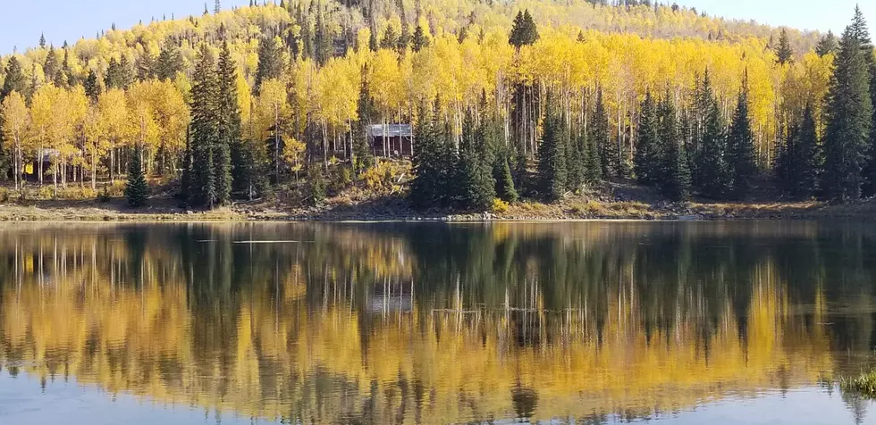 Beautiful Drive on Grand Mesa and Hike to Lost Lake