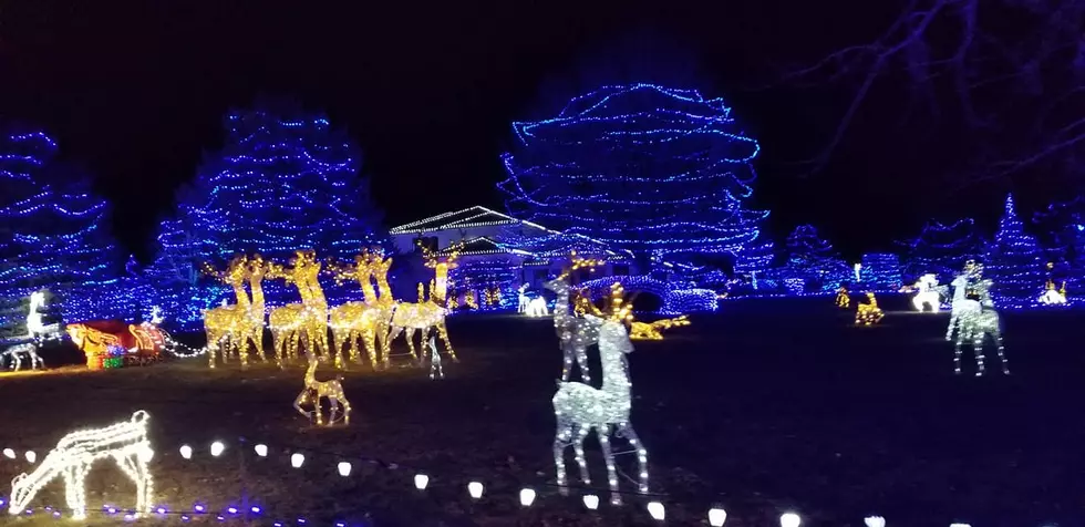 Grand Junction's Blue Light House, A Family Tradition