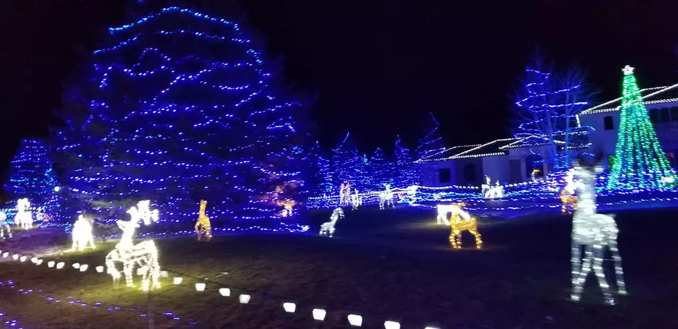 Wonderful Evening Looking at Christmas Lights in Grand Junction