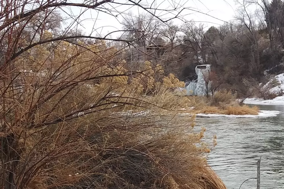 Redlands Waterfall Jan 2021 Frozen