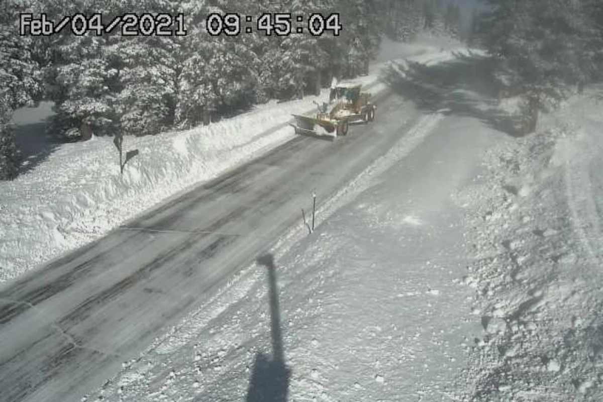 Check Out This Morning's Fresh Snow on the Grand Mesa