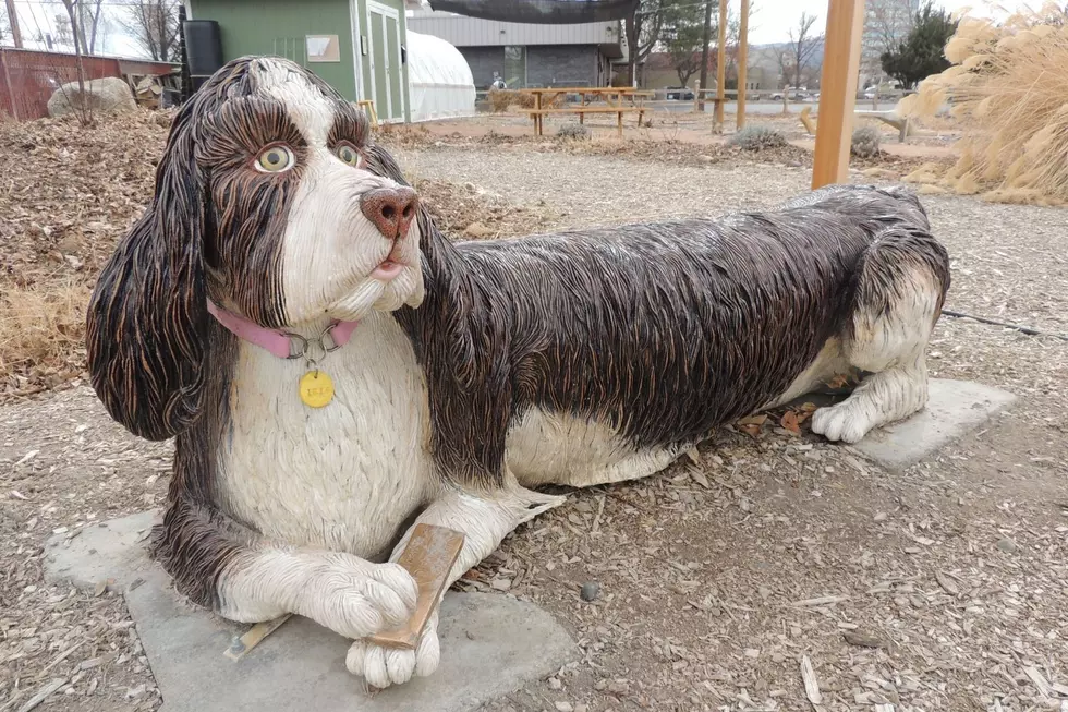 Local Artists Create Amazing Benches at MCPL Discovery Garden