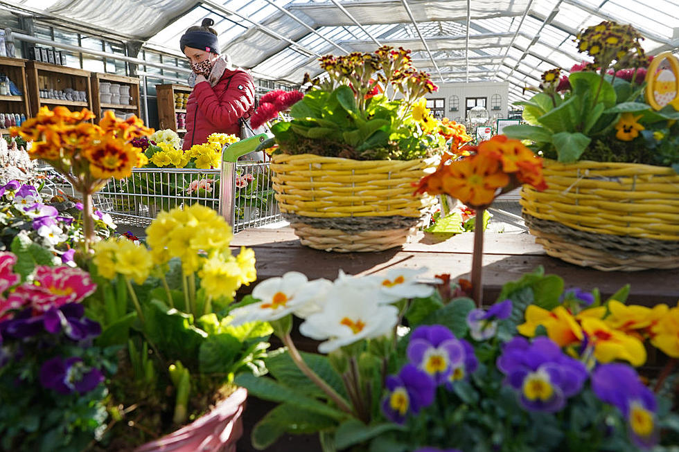 Grand Junction Can Beautify Yards While Saving Lives