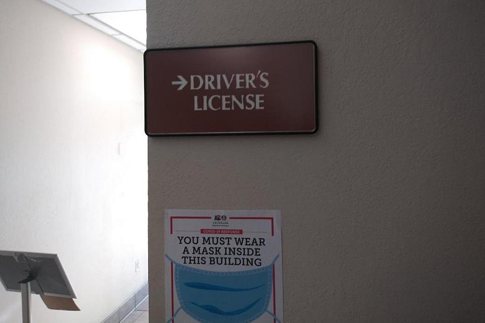 Renewing Your Driver&#8217;s License in GJ During COVID Restrictions