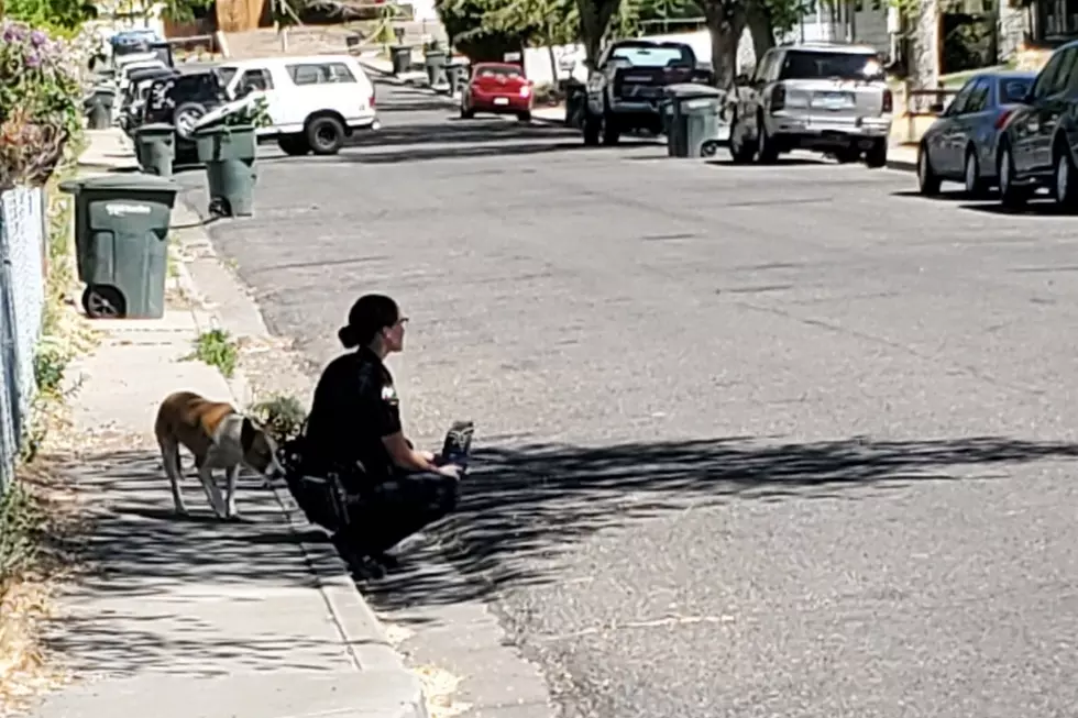 Grand Junction Police Officer Shares Treat With Lost Dog