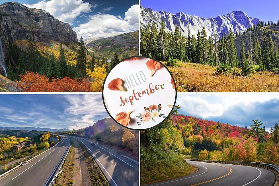 When Will Colorado Celebrate the Fall Color Change?