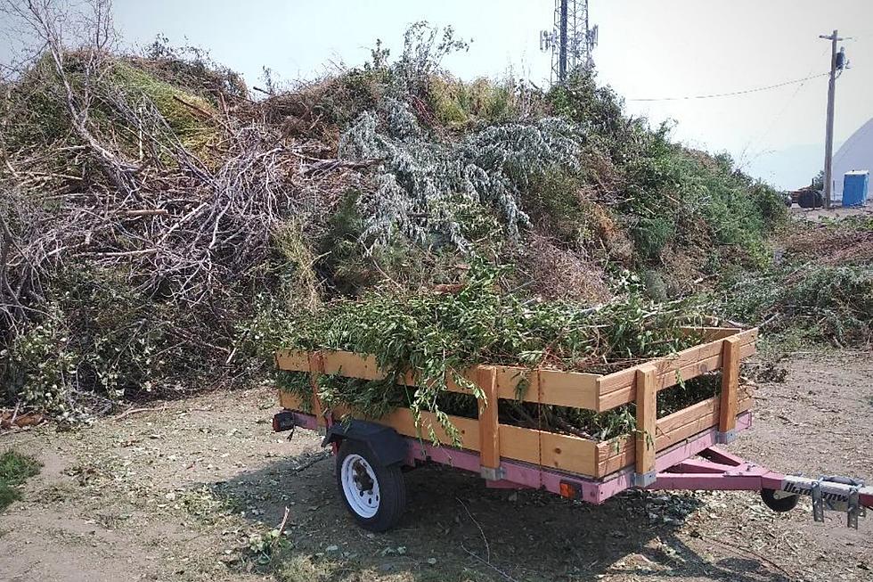 7 Reasons Why Mesa County&#8217;s Compost Facility is the Coolest