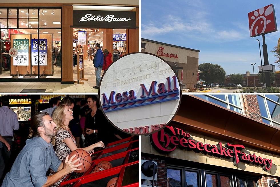 Stores We Want to See Added to Grand Junctions Colorado&#8217;s&#8217; Mesa Mall