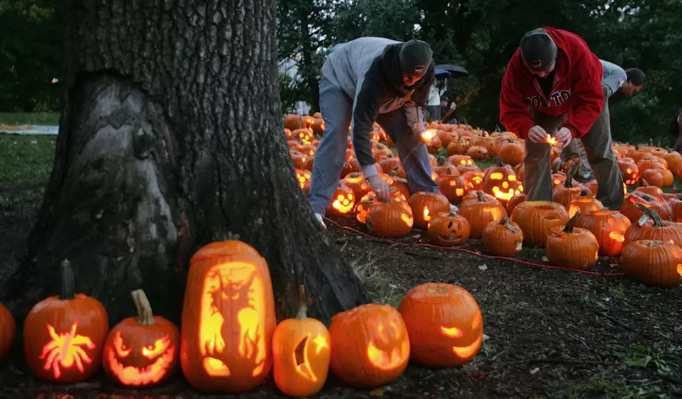 Where Colorado Families Go for the Best Pumpkin Patches
