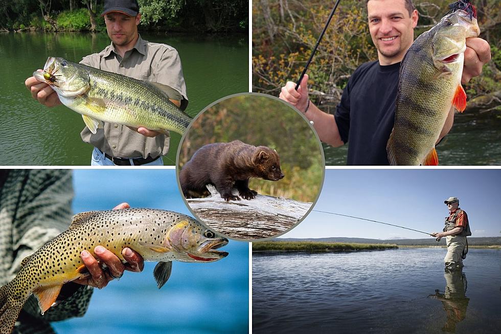 20+ Amazing Places to Fish on Colorado’s Grand Mesa