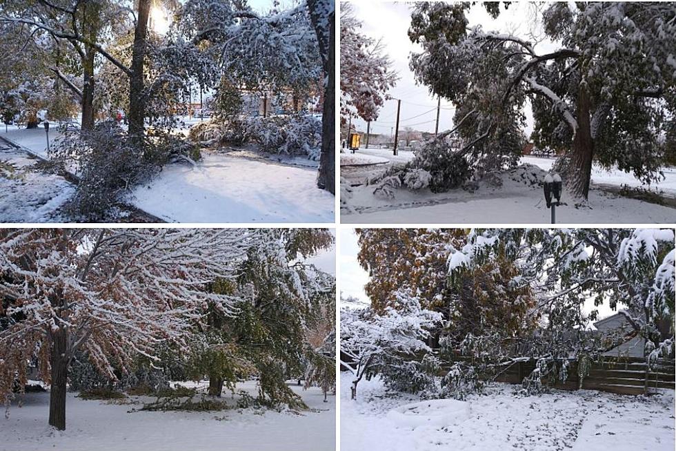 Looking Back at ‘Heavy’ Grand Junction Snow From October 2020