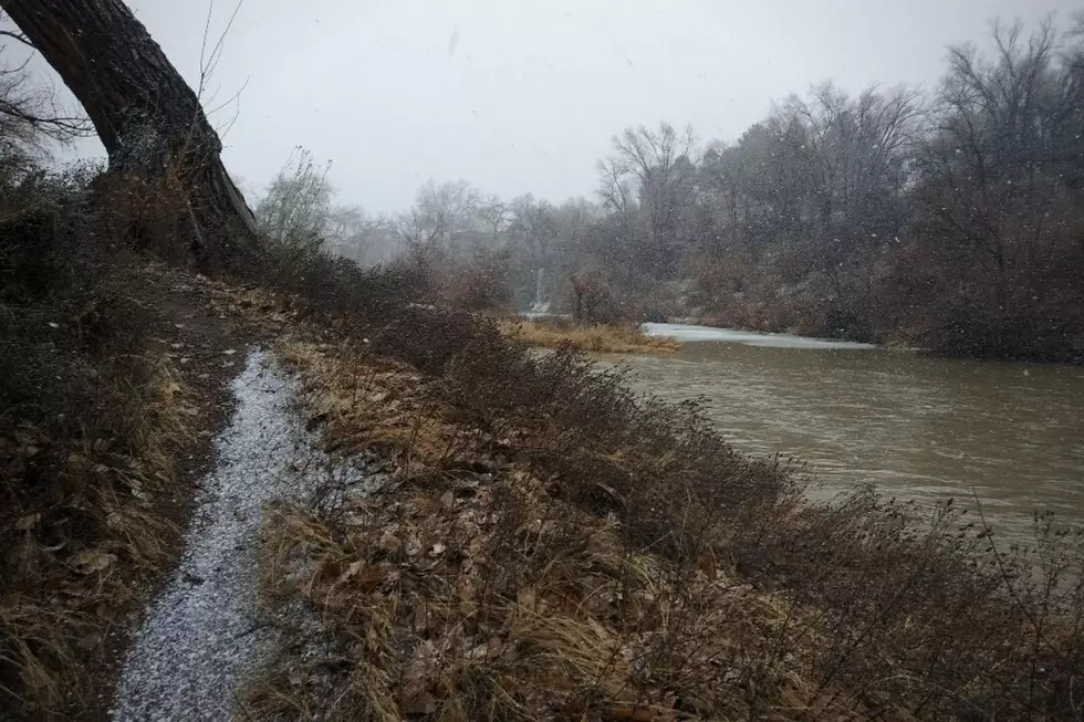 Grand Junction Squall Audubon Trail