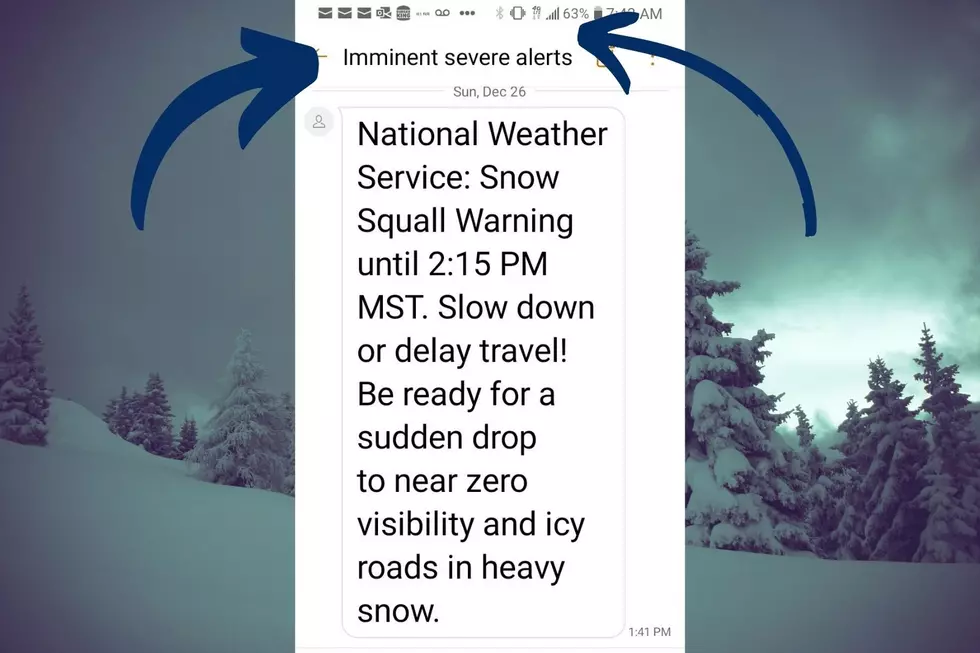 Grand Junction Squall Waylon's Phone