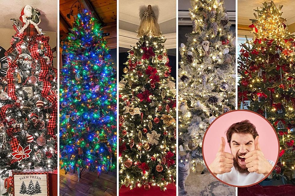 Coloradans Show Off Their Amazing Christmas Trees