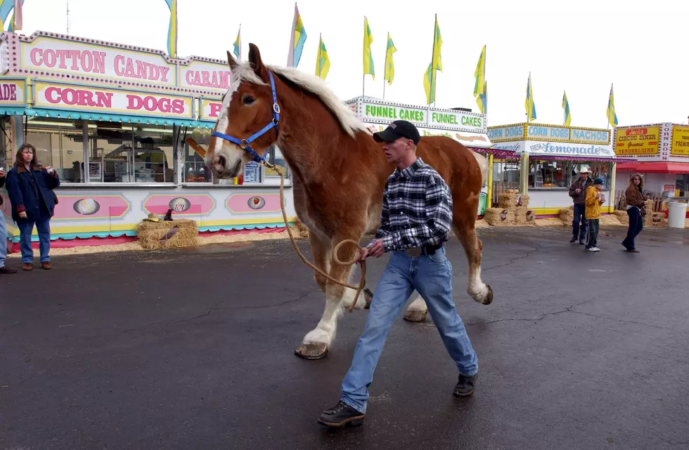 National Western Stockshow Draws Cowboy Faithful