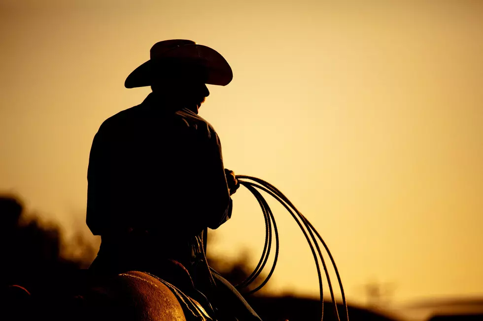 cowboy with lasso silhouette at small-town rodeo. Note: added grain.