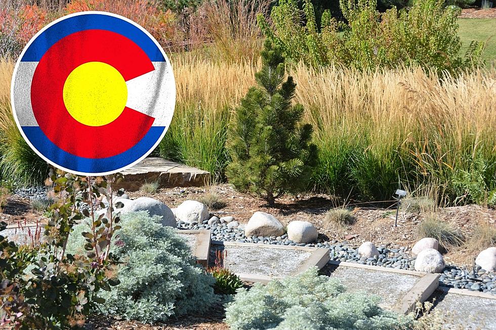 What is Colorado&#8217;s Xeriscape Law?