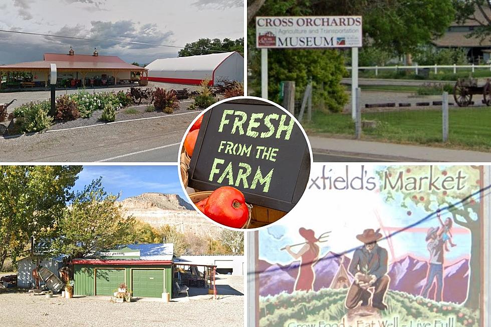 6 Great Western Colorado Farmer's Markets to Visit in 2022