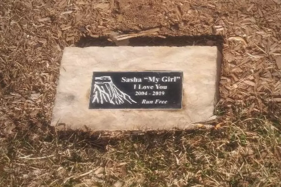 -Sasha Memorial in Palisade Colorado 2