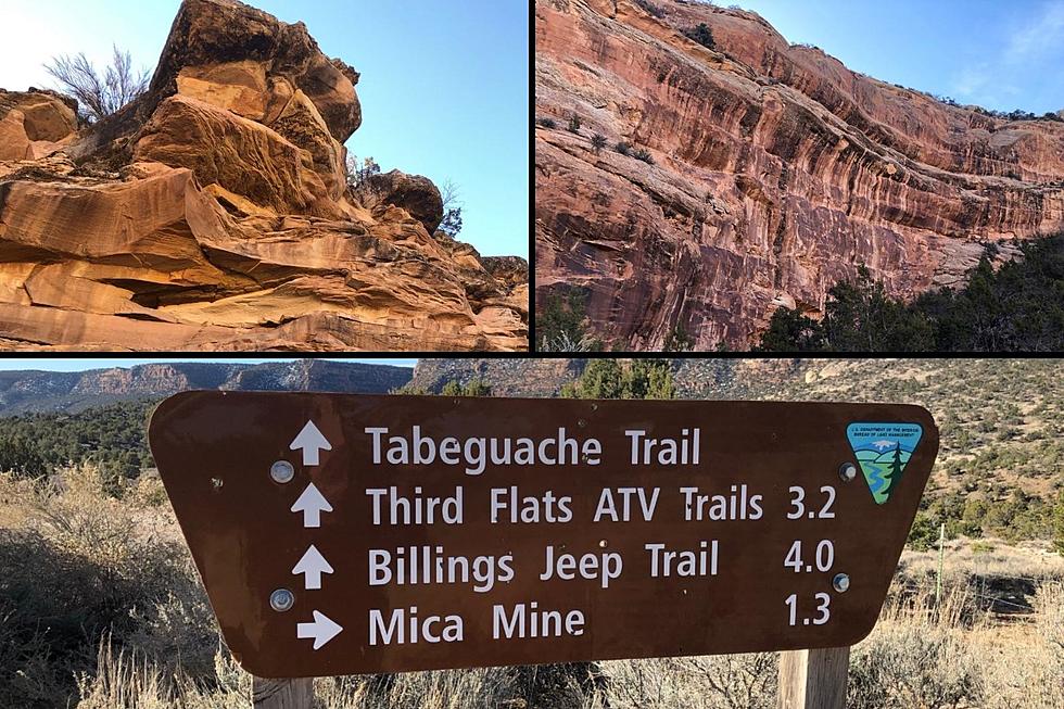 Grand Junction Colorado's High Desert Rec Area in Bangs Canyon