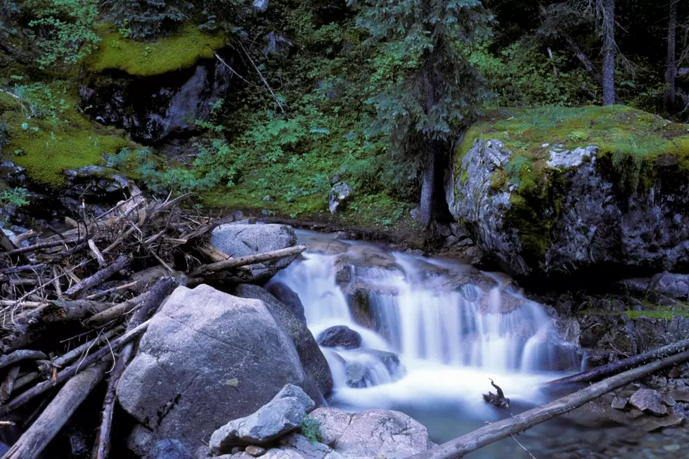 Colorado Swimming Holes & Hot Springs