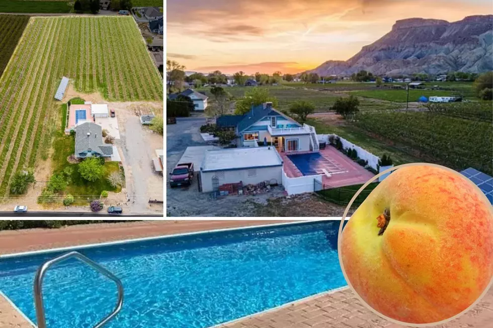 Palisade Peach House Built in 1905 Includes an Orchard and a Pool