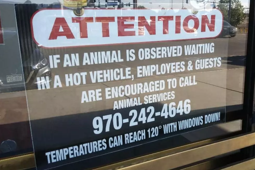 Grand Junction Colorado Sign Warns Against Leaving Pets in Cars