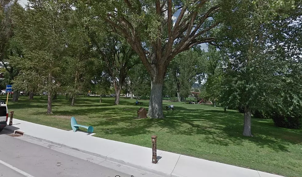Remember When These Colorado Locations Appeared in True Grit?