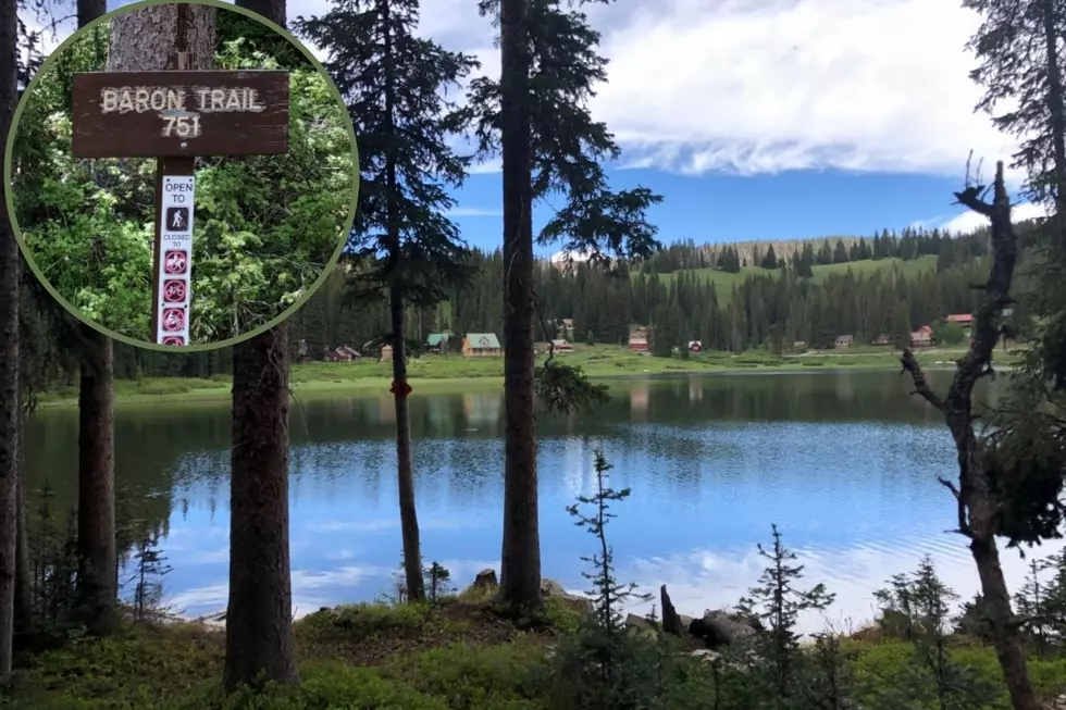 Hiking the Baron Lake Trail on Colorado’s Grand Mesa