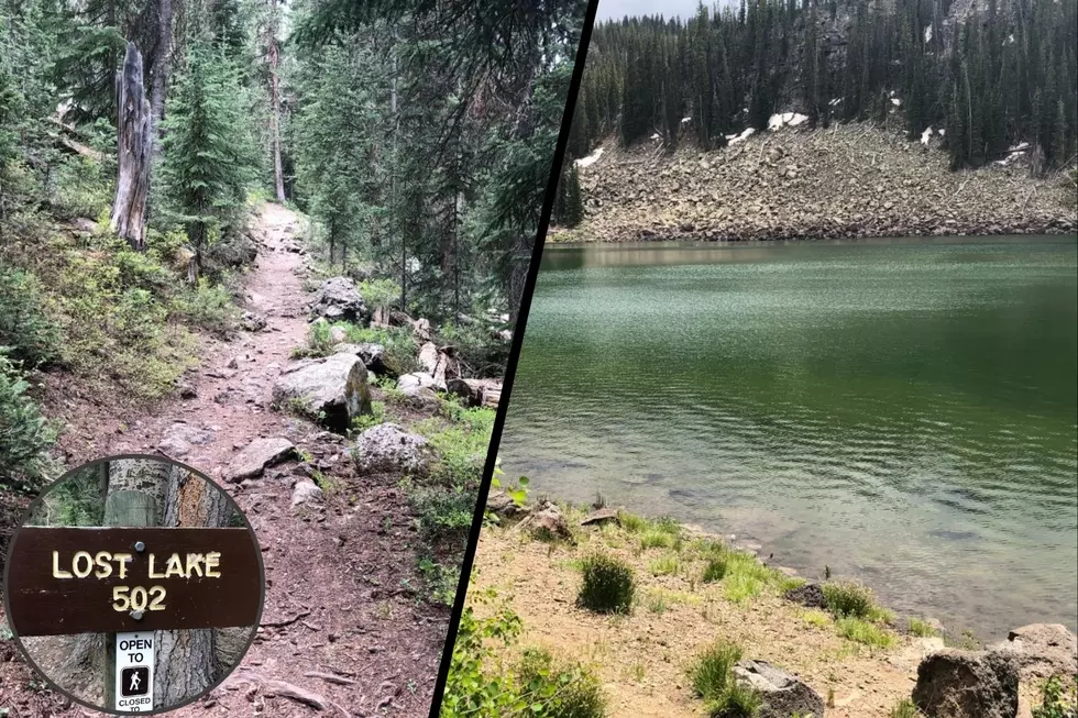 Western Colorado's Best Hikes: The Grand Mesa Trail to Lost Lake