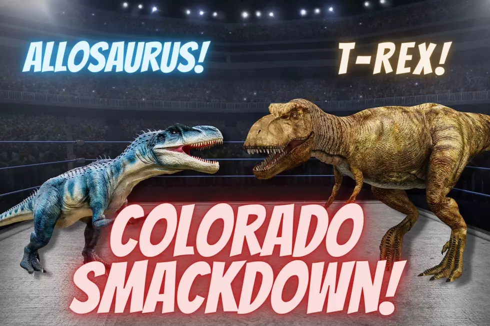 Which Colorado Dinosaur Do You Think Would Win In a Fight?