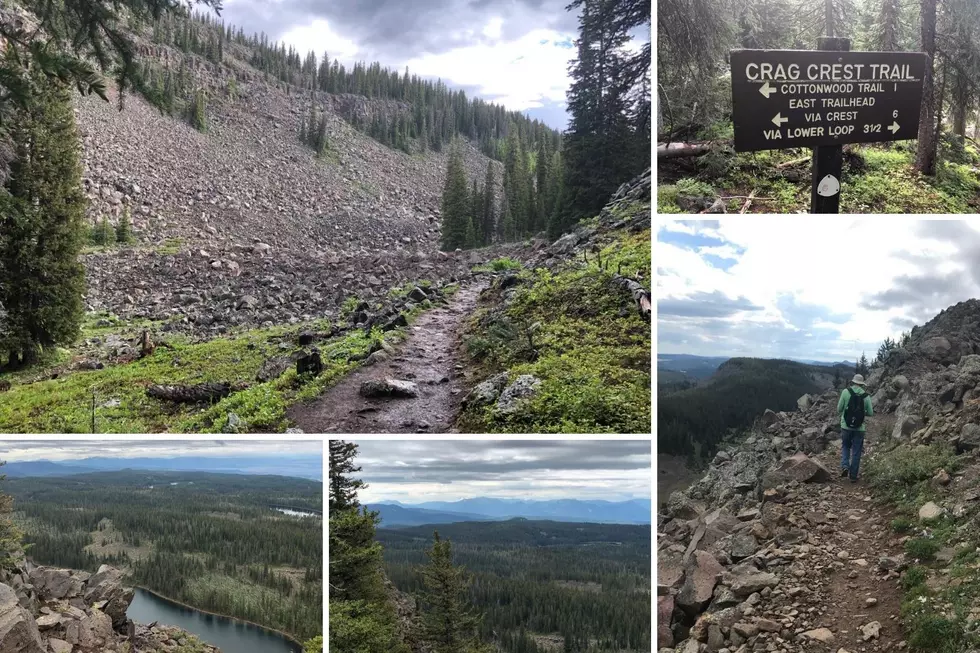 See for 100 Miles On Top of Colorado’s Crag Crest National Recreation Trail